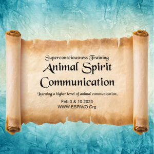 AnimalSpiritComm-SQ